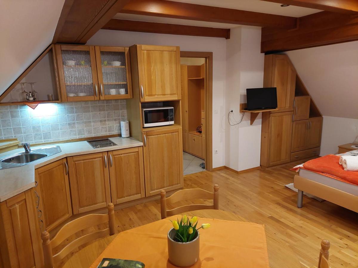 Apartmaji Vesna 보히니 외부 사진