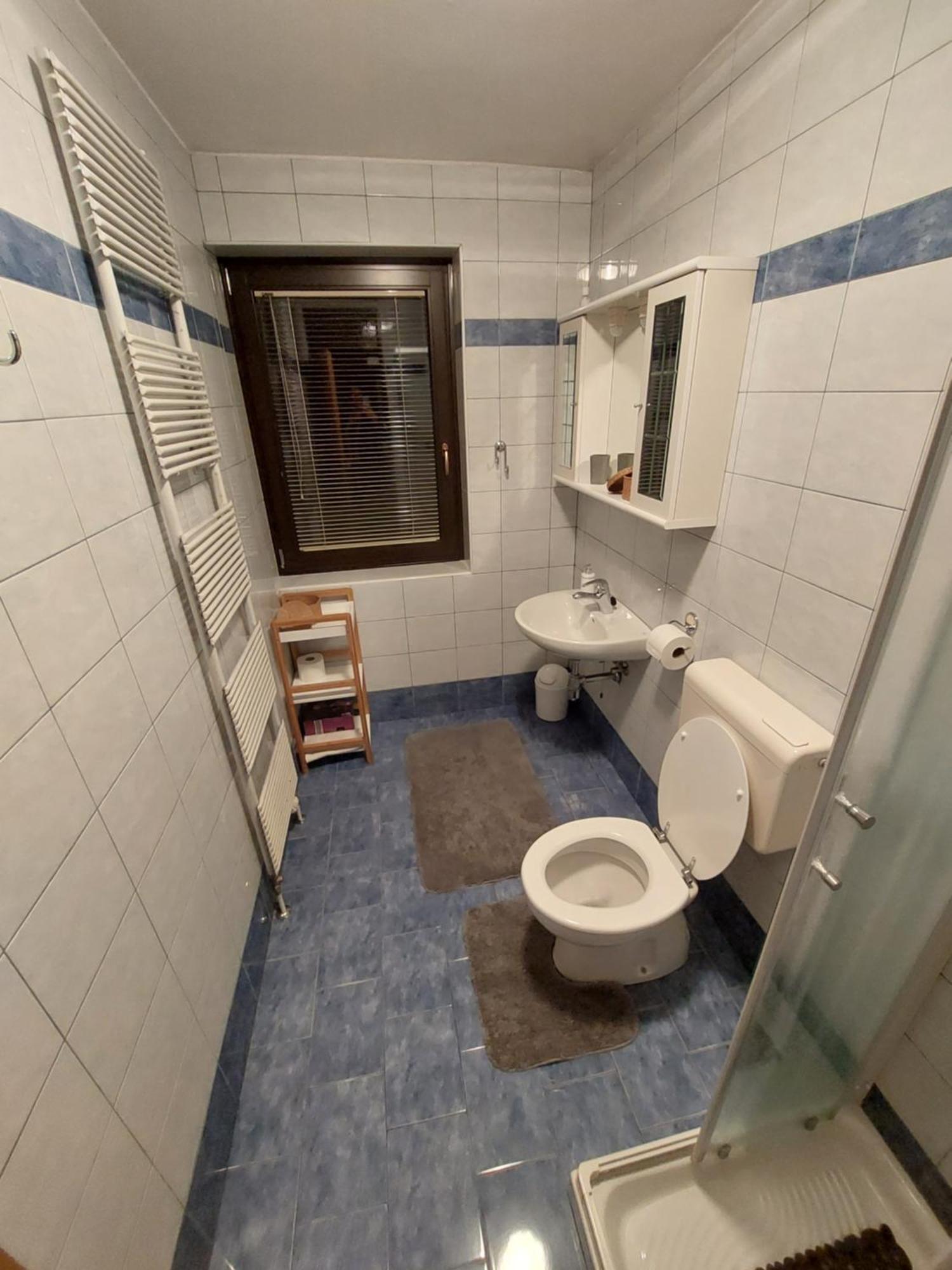 Apartmaji Vesna 보히니 객실 사진