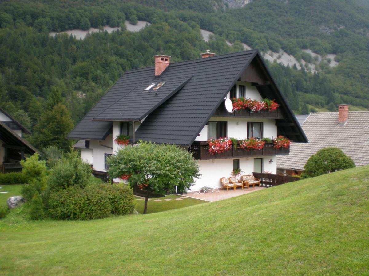 Apartmaji Vesna 보히니 외부 사진